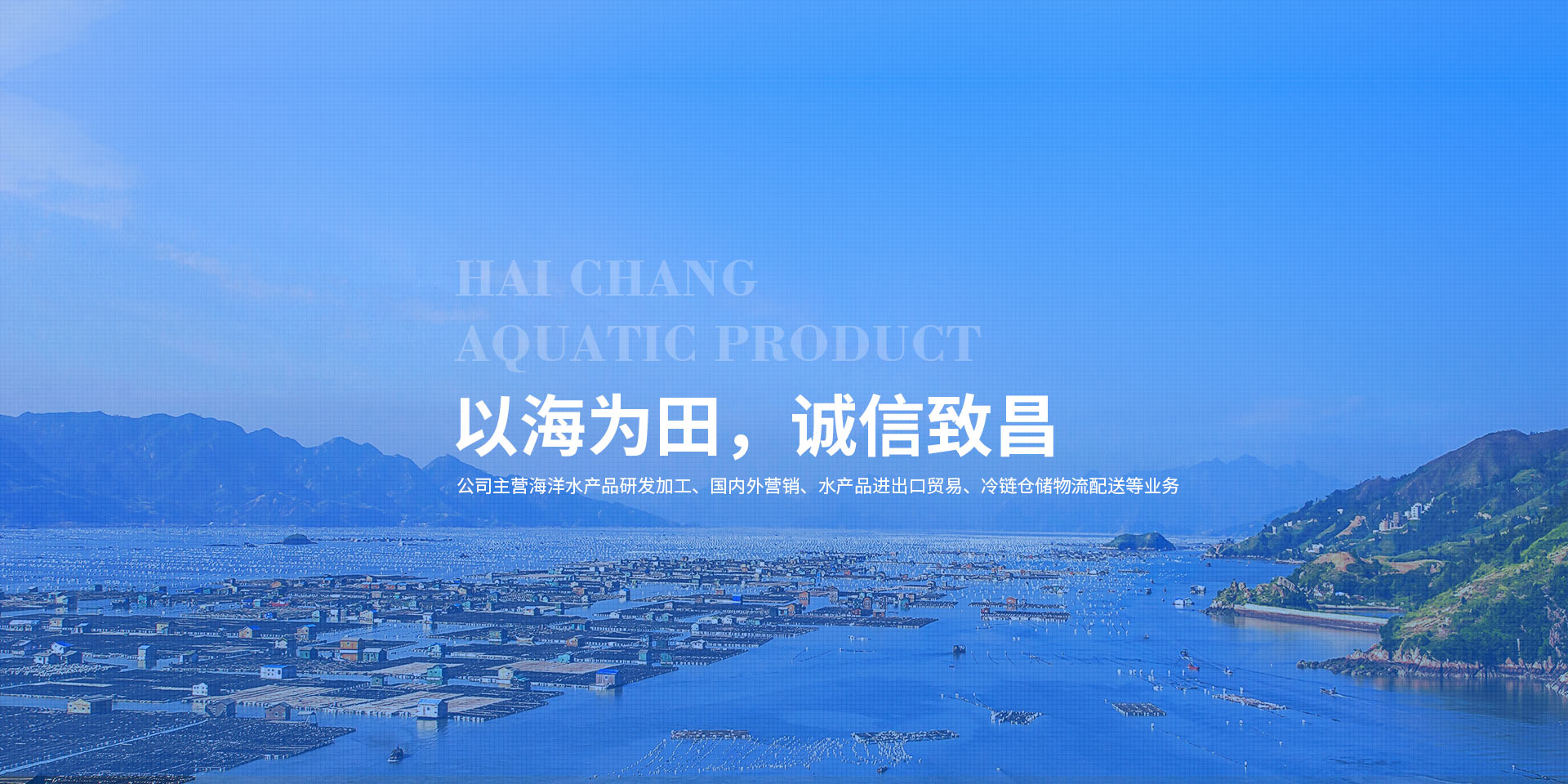 bob综合最新版