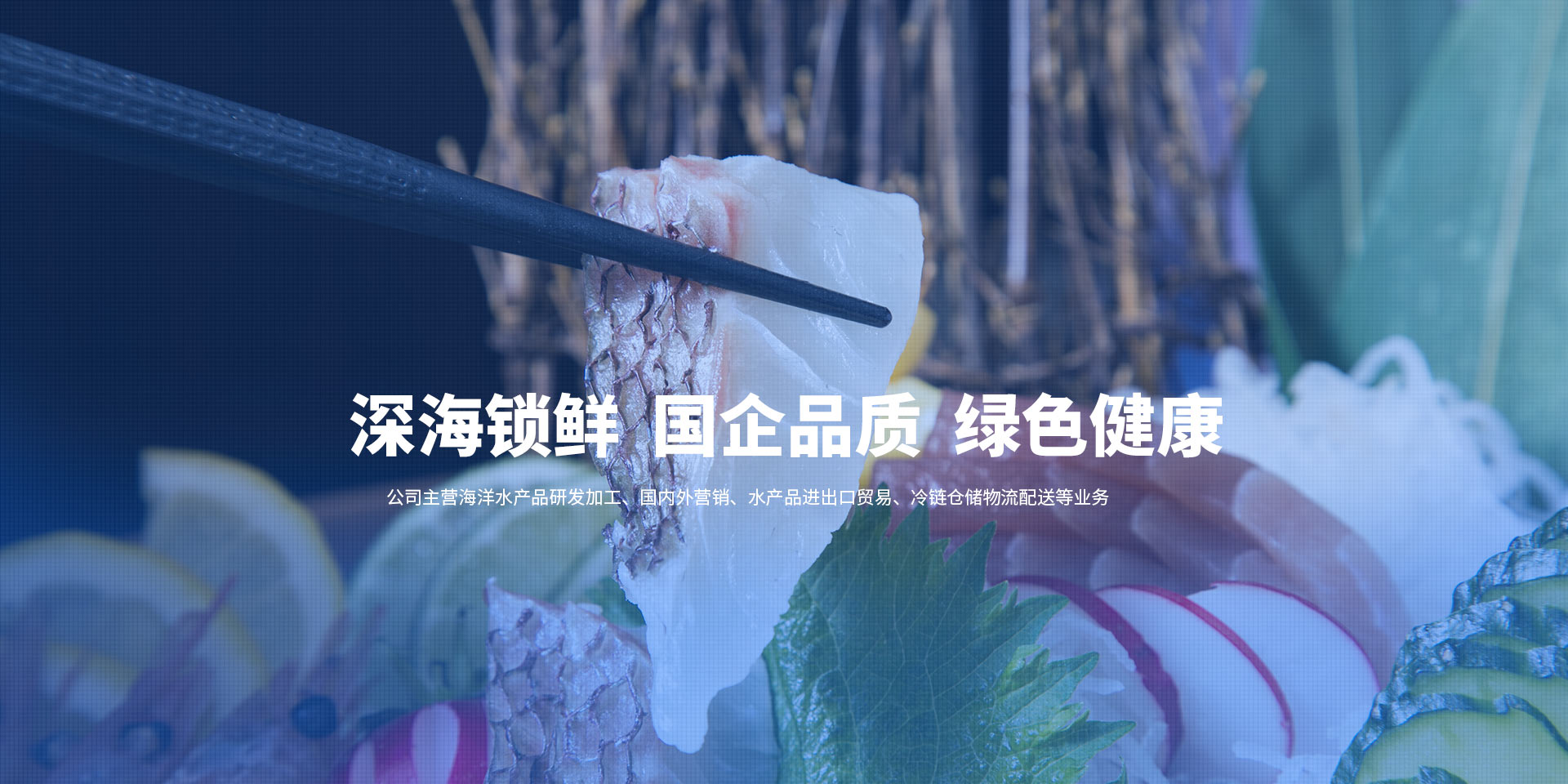 bob主站